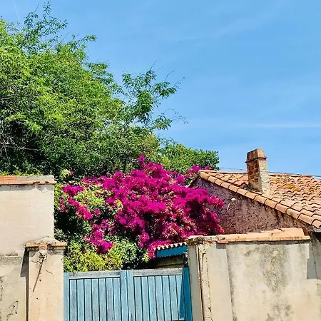 Le Saint Loup Appartement La Ciotat
